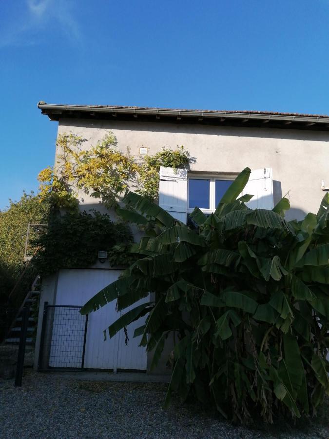 Апартаменти Le Grenier De Gaston Thouars-sur-Garonne Екстер'єр фото